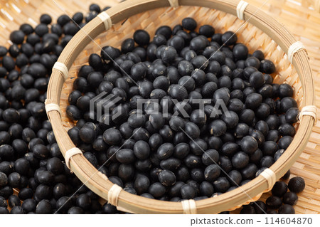 Black soybean 114604870
