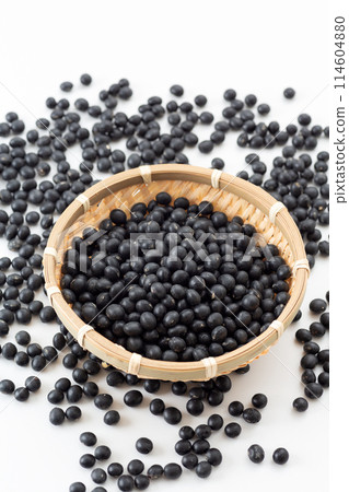 Black soybean 114604880