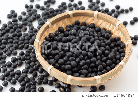 Black soybean Black soybean 114604884