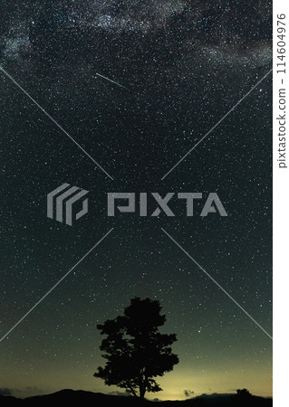 [Starry sky photo] Shooting star seen in Nagomori Forest 114604976