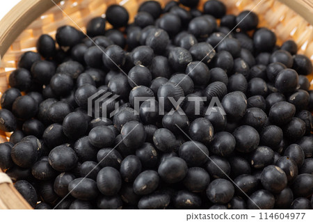 Black soybean 114604977