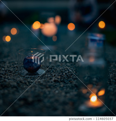 [Scenery of Shonai] Shonai Shrine and Tanabata_Night lights 114605037