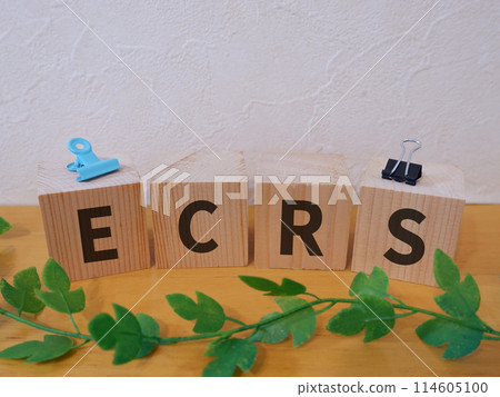 ECRS eye-catching image ECRS eye-catching image 114605100