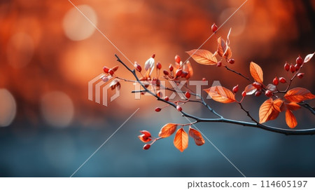 Autumn background of fall leaves. 114605197