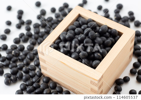 Black soybean 114605537