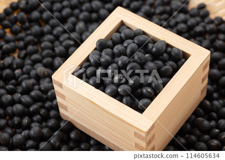 Black soybean 114605634