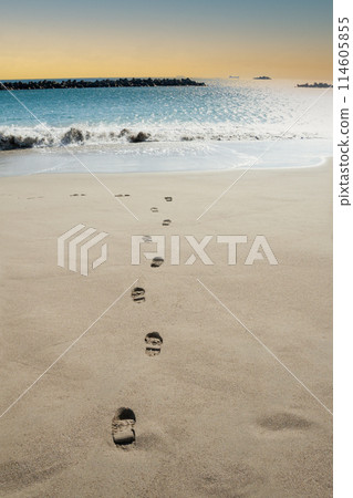 沙灘上的鞋印 沙灘上的鞋印 114605855