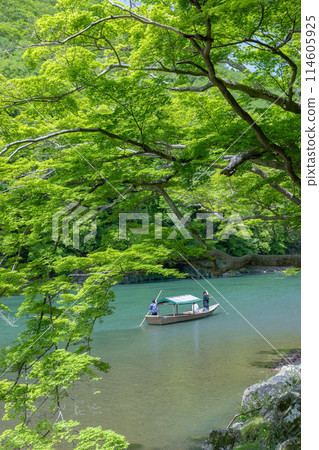 新鮮的綠色嵐山 新鮮的綠色嵐山 114605925