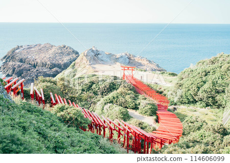 Red Torii Gate of Motonosumi Shrine 114606099