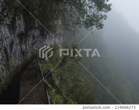 narrow footpath along levada, water irrigation channel with dense tropical forest plants and vegetation. Levada Caldeirao Verde and Caldeirao do Inferno hiking trail, Madeira island, Portugal narrow footpath along levada, water irrigation channel with dense tropical forest plants and vegetation. Levada Caldeirao Verde and Caldeirao do Inferno hiking trail, Madeira island, Portugal 114606273