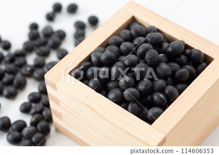 Black soybean 114606353