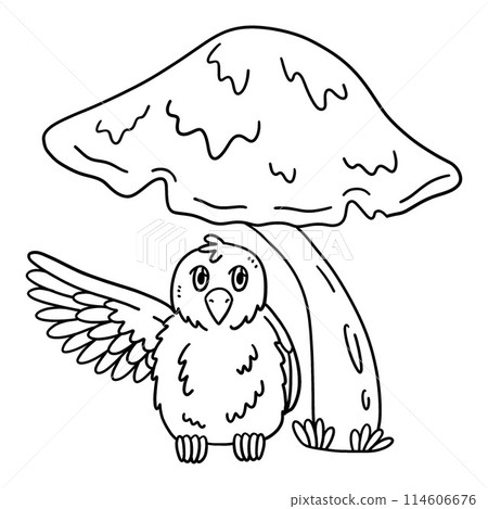 Giant Mushroom with a Bird Isolated Coloring Page 114606676