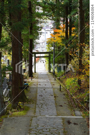 Autumn entrance 114606864