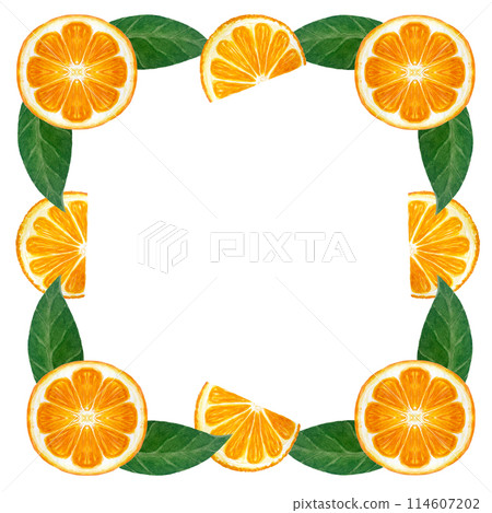 Orange fruit slice with green leafs watercolor frame isolated on white. High quality hand drawn art in a simple style for packages, restaurant menu, natural organic food logo, cards and posters Orange fruit slice with green leafs watercolor frame isolated on white. High quality hand drawn art in a simple style for packages, restaurant menu, natural organic food logo, cards and posters 114607202