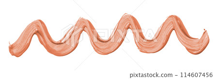 Orange brush isolated on white background. golden apricot color 114607456