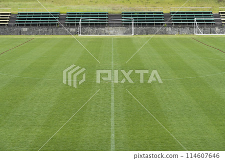 Green grass soccer field 114607646