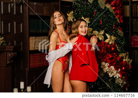 Lesbian couple together indoors cheerfully communicate, preparing for celebration of Christmas. 114607716