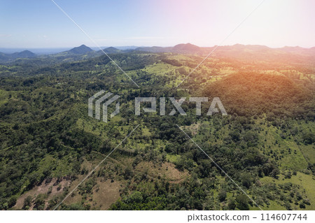 Green natural hill background Green natural hill background 114607744