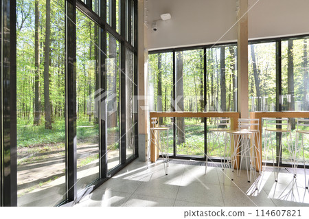 Cafe with glass walls and forest views 114607821