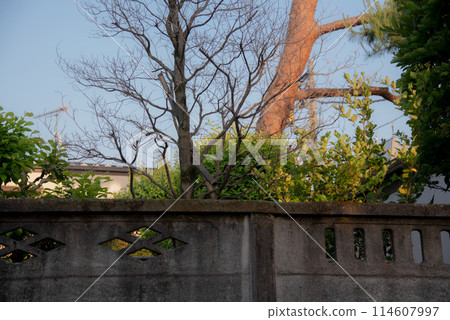 Daily life in the Japanese suburbs 114607997