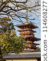 Nara: The West Pagoda of Yakushiji Temple seen through the gaps in the trees 114608277