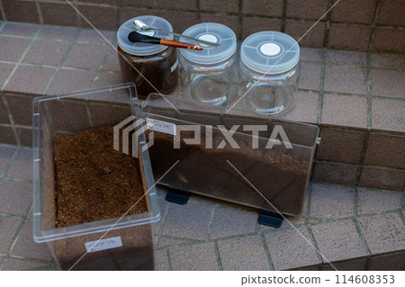 Beetle breeding - mat replacement Beetle breeding - mat replacement 114608353