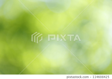 Background material of sunlight leaking day Background material of sunlight leaking day 114608425