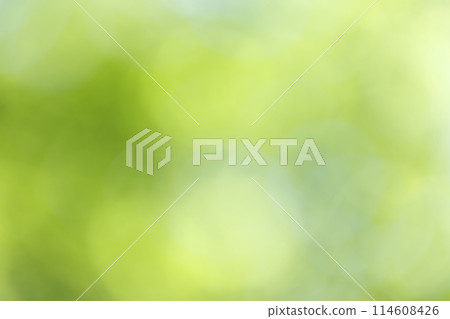 Background material of sunlight leaking day Background material of sunlight leaking day 114608426