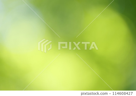 Background material of sunlight leaking day Background material of sunlight leaking day 114608427