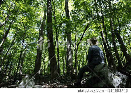 Man standing in the forest 114608743