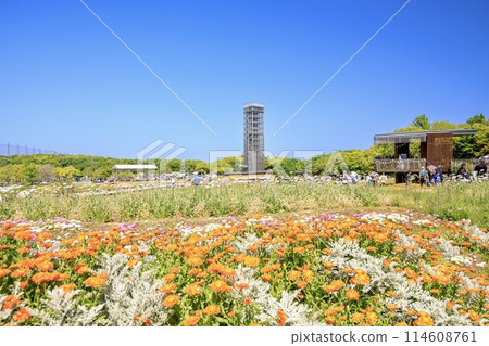 Inside Lake Hamana Garden Park, Hamamatsu City 114608761