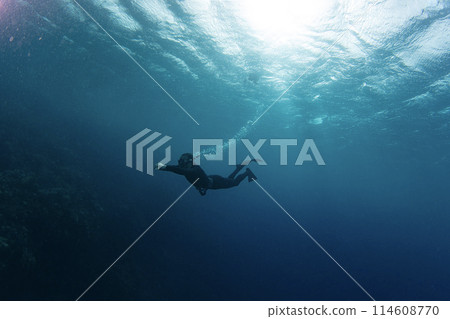 Freediver Swimming in Deep Sea With Sunrays. Young Man Diver Eploring Sea Life. Freediver Swimming in Deep Sea With Sunrays. Young Man Diver Eploring Sea Life. 114608770