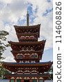 Nara City, Yakushiji Temple's West Pagoda 114608826