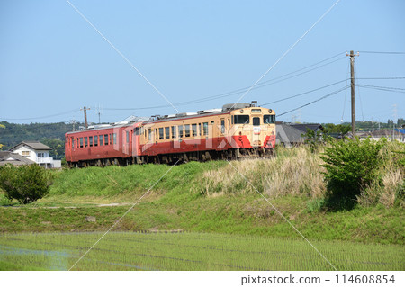 Kominato Railway Kiha 40 series train running along an embankment in early summer Kominato Railway Kiha 40 series train running along an embankment in early summer 114608854