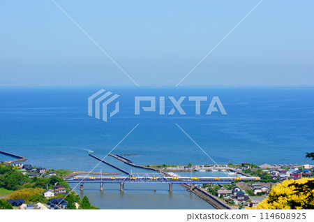 東京灣和255系列新宿漣漪 114608925