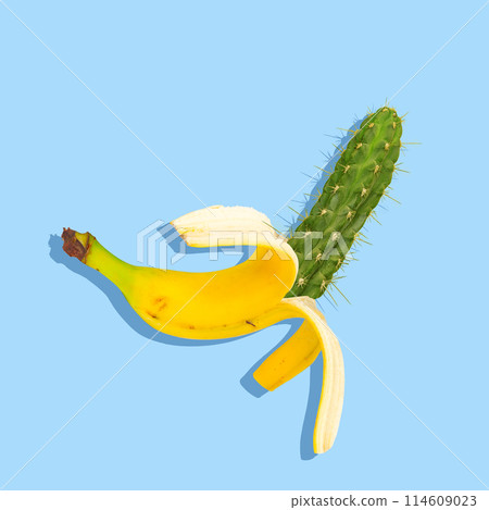 Surreal summer. Vibrant pop art style image of banana, fused with cactus. Surprising combination and artistic style. Contemporary art collage. Surreal summer. Vibrant pop art style image of banana, fused with cactus. Surprising combination and artistic style. Contemporary art collage. 114609023