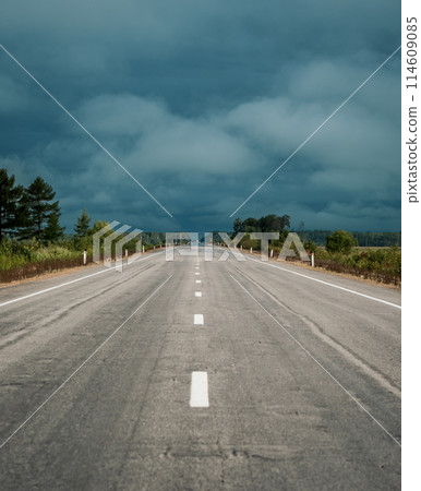 Straight empty highway stretching toward distant forest on a cloudy day Straight empty highway stretching toward distant forest on a cloudy day 114609085