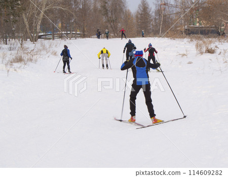 Teenage skiers in the snowy forest Park Teenage skiers in the snowy forest Park 114609282