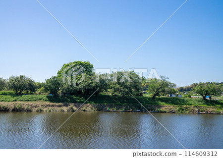 在河岸上的風景 114609312