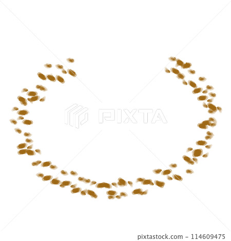 Brush  114609475