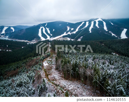 beautiful mountain landscape with pine forest and view on Bukovel beautiful mountain landscape with pine forest and view on Bukovel 114610555