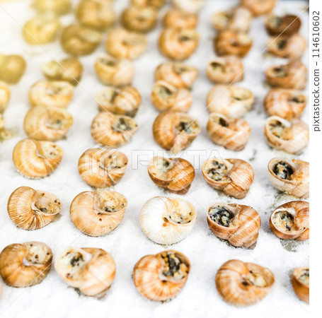 cooked snails with sauce 114610602