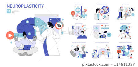 Neuroplasticity set. Brain development and cognitive enhancement practices. Meditation, diet, physical exercise, and learning influence on brain adaptability. Vector illustration. 114611357