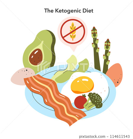 Ketogenic Diet concept. A plate with high-fat foods like eggs, bacon, and avocado, and a no-grain sign. Low-carb lifestyle for weight loss. Vector illustration. 114611543