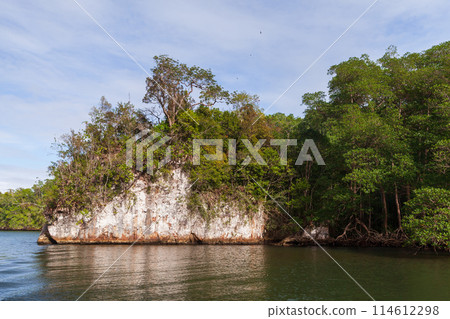 Samana bay landscape photo. Dominican republic 114612298