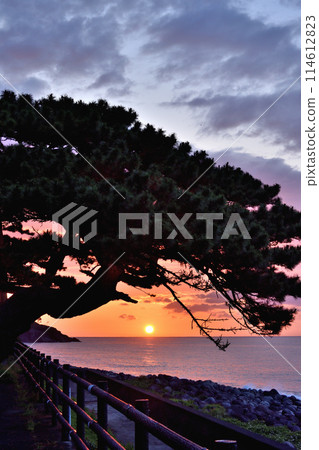 東伊豆町的早晨 東伊豆町的早晨 114612823