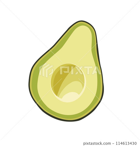 Fresh half cut green seedless avocado isolated on white background. Side view. Vector food clipart Fresh half cut green seedless avocado isolated on white background. Side view. Vector food clipart 114613430