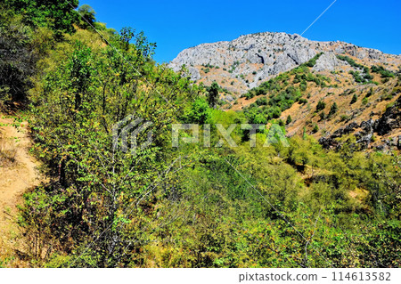Uzbekistan mountain landscape. Foothills of the Pamirs. 114613582