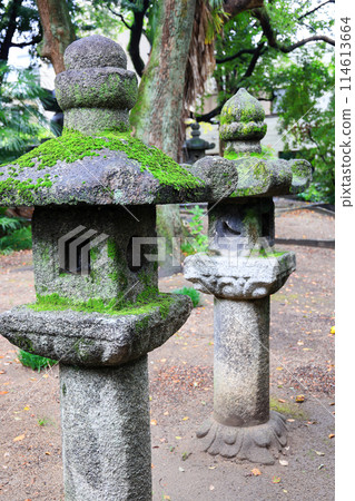 Japanese stone lantern in the garden, beautiful Autumn scenery in Japan. 114613664