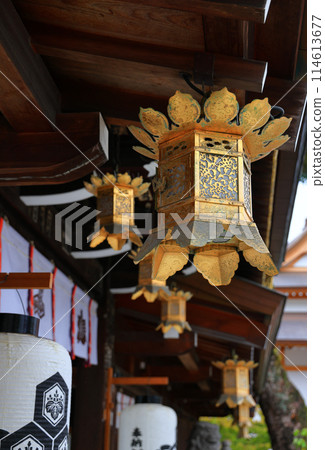 Japan style hanging lantern lamp in Japanese Shrine and temple. 114613677